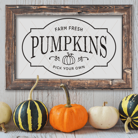 U pick Pumpkins SVG File for Fall/Autumn