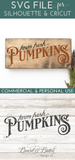 Farm Fresh Pumpkins SVG File - Commercial Use SVG Files for Cricut & Silhouette