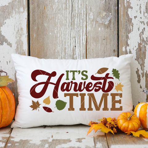 Cricut Harvest SVG | It's Harvest Time Svg | Silhouette Files for Fall/Autumn