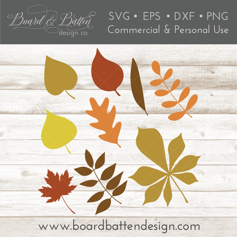 Fall Leaves Svg | Leaves Clipart for Autumn | Silhouette & Cricut Designs