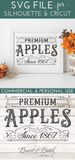 Vintage Premium Apples SVG File - Commercial Use SVG Files for Cricut & Silhouette